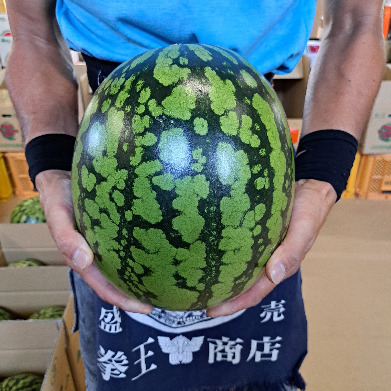 山形県産 すいか 羅皇ザ・スウィート 金色羅皇 Lサイズ 家庭用 食べ