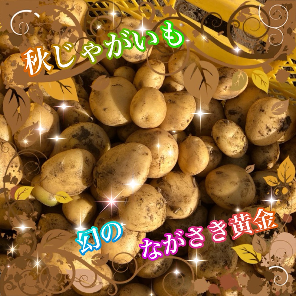 ながさき黄金 ｜ 野菜/じゃがいも 産直アウル 農家・漁師など生産者