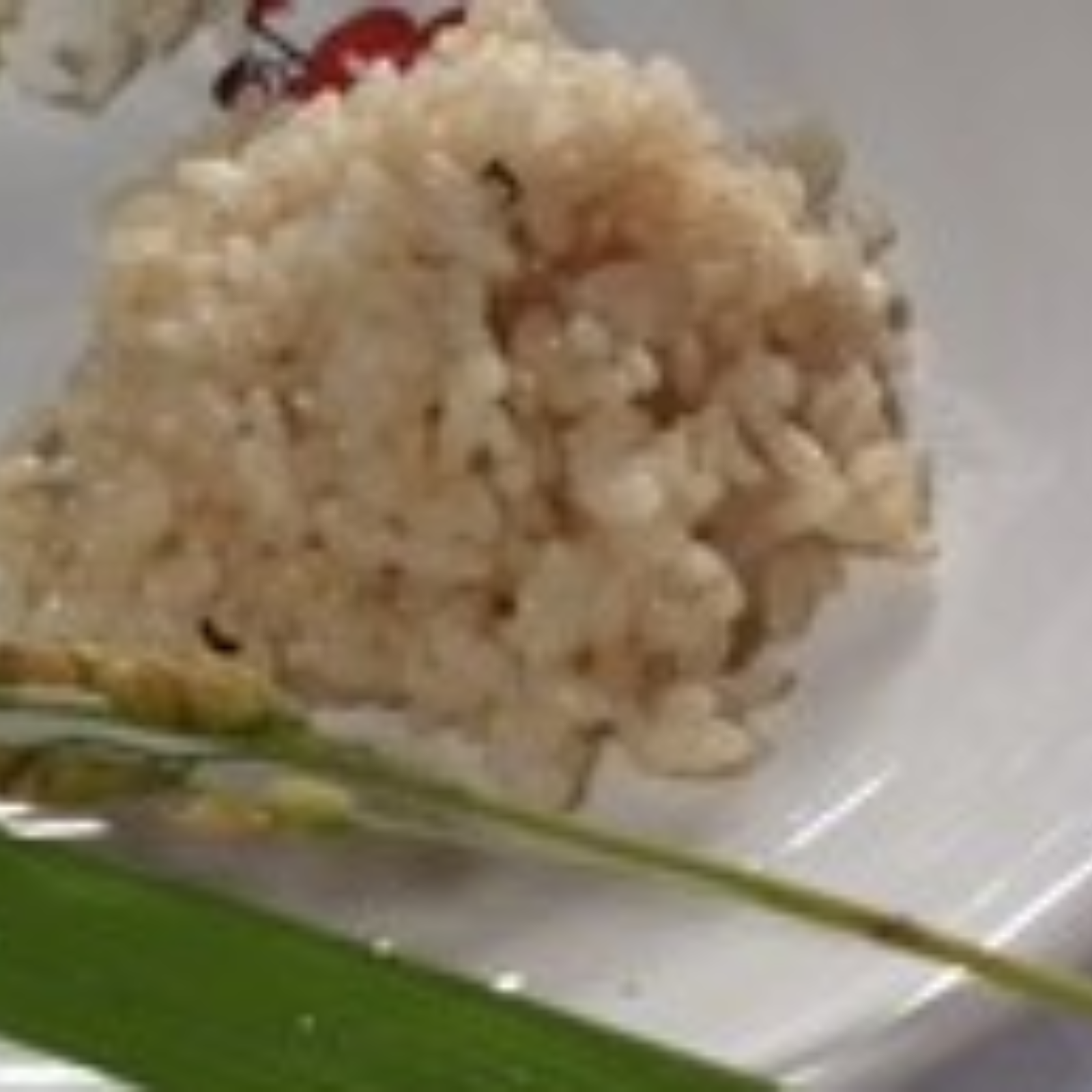 令和5年産 ひとめぼれ玄米30kg | 米・穀物/玄米 産直アウル 農家から