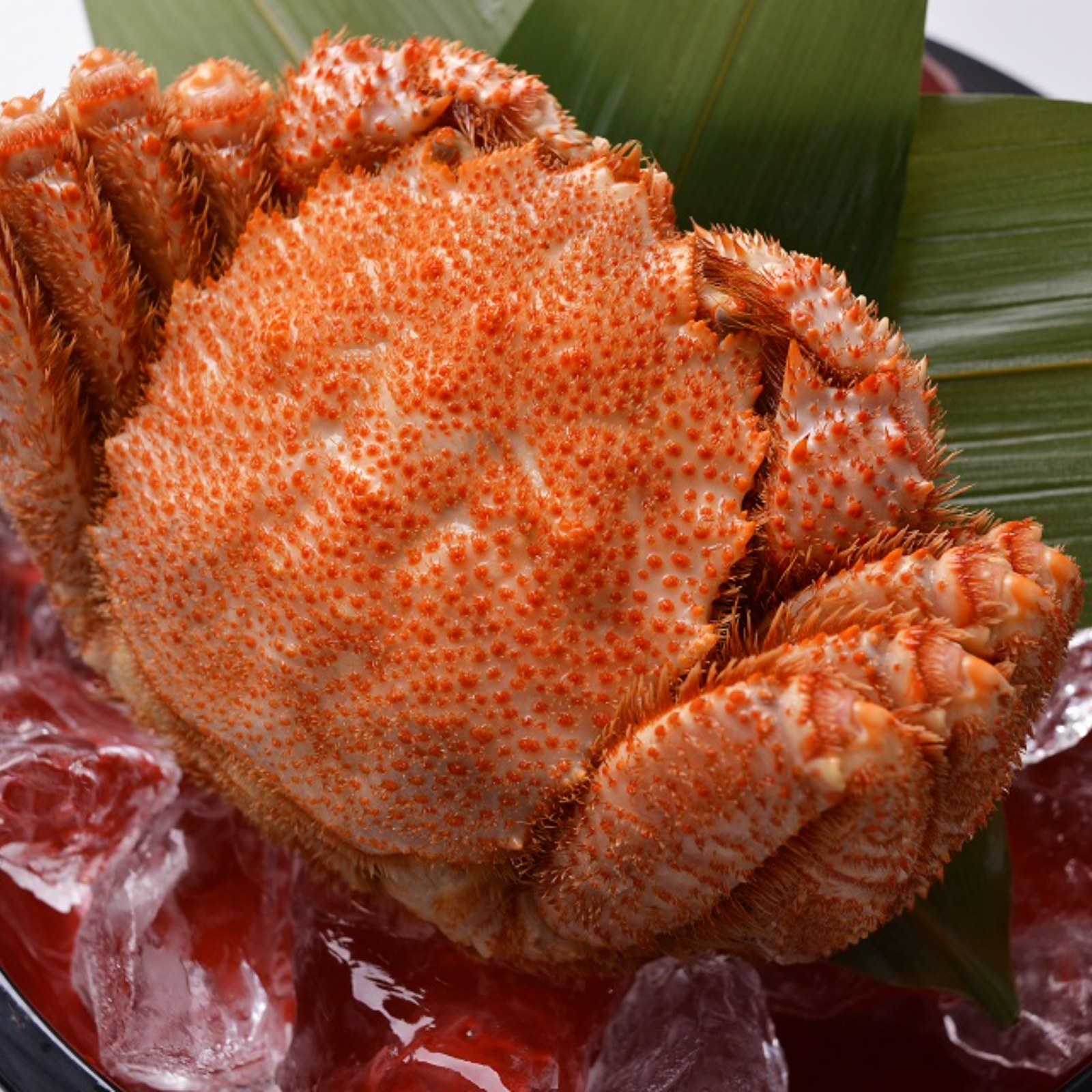 ラリマー　カニモチーフ　胸針　天然石　新品