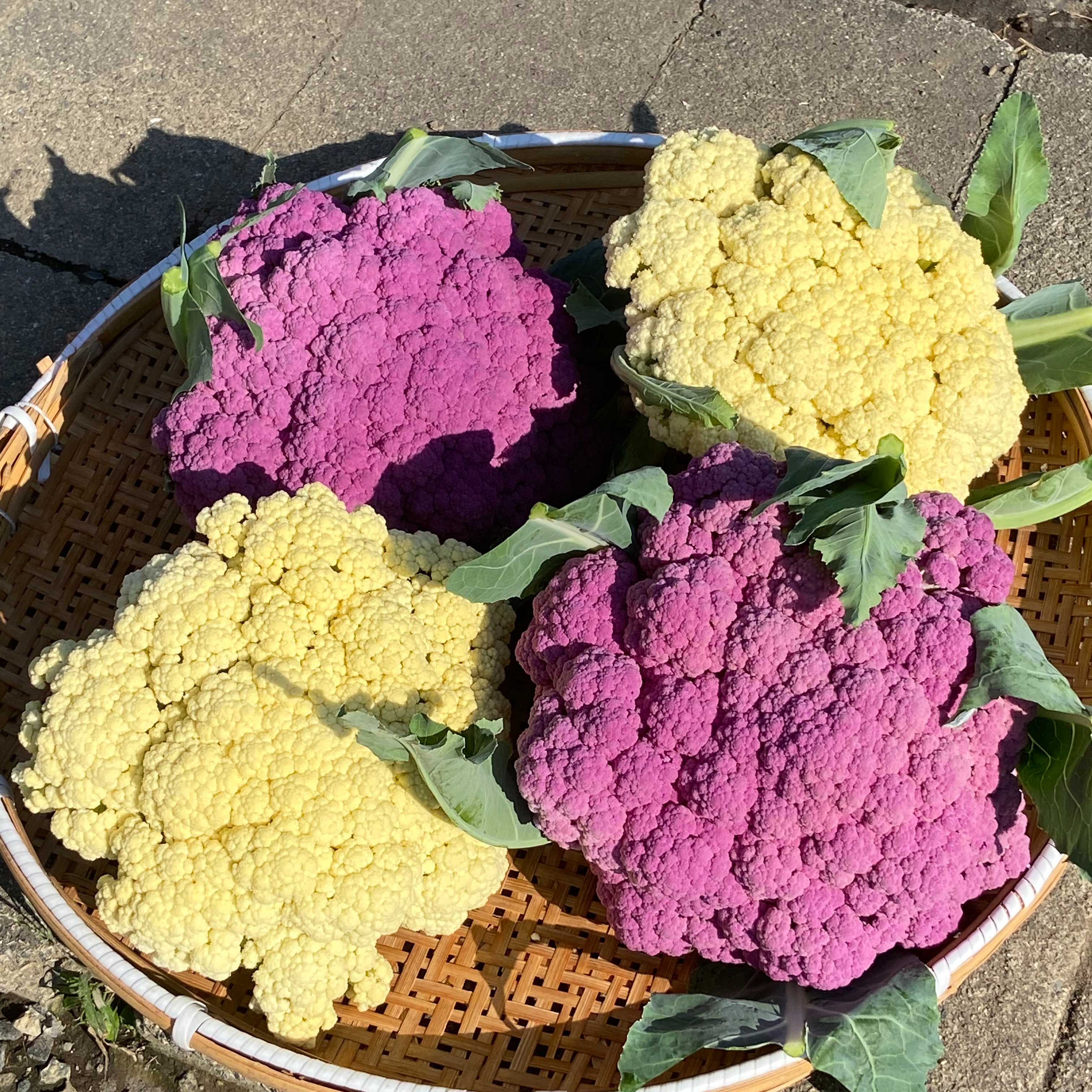 約2キロ新顔野菜 カリフローレミックス | 野菜/ブロッコリー 産直