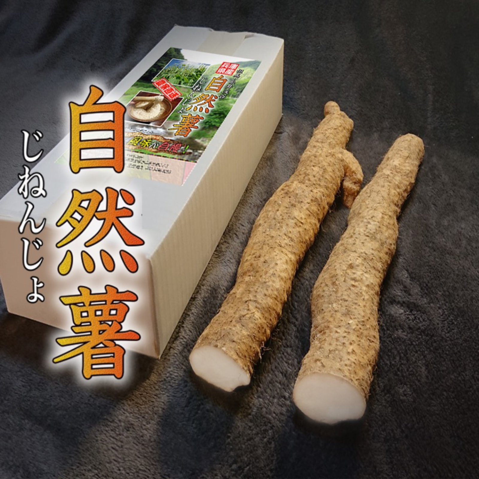 信州産　自然薯4キロ