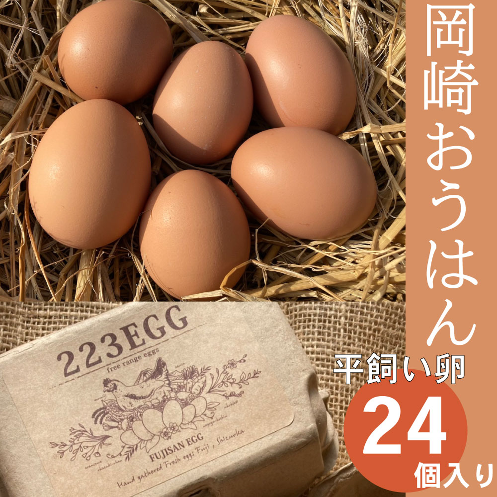 平飼い 卵 24個セット］ 岡崎おうはん 223EGG たまご | 卵/鶏卵 産直 