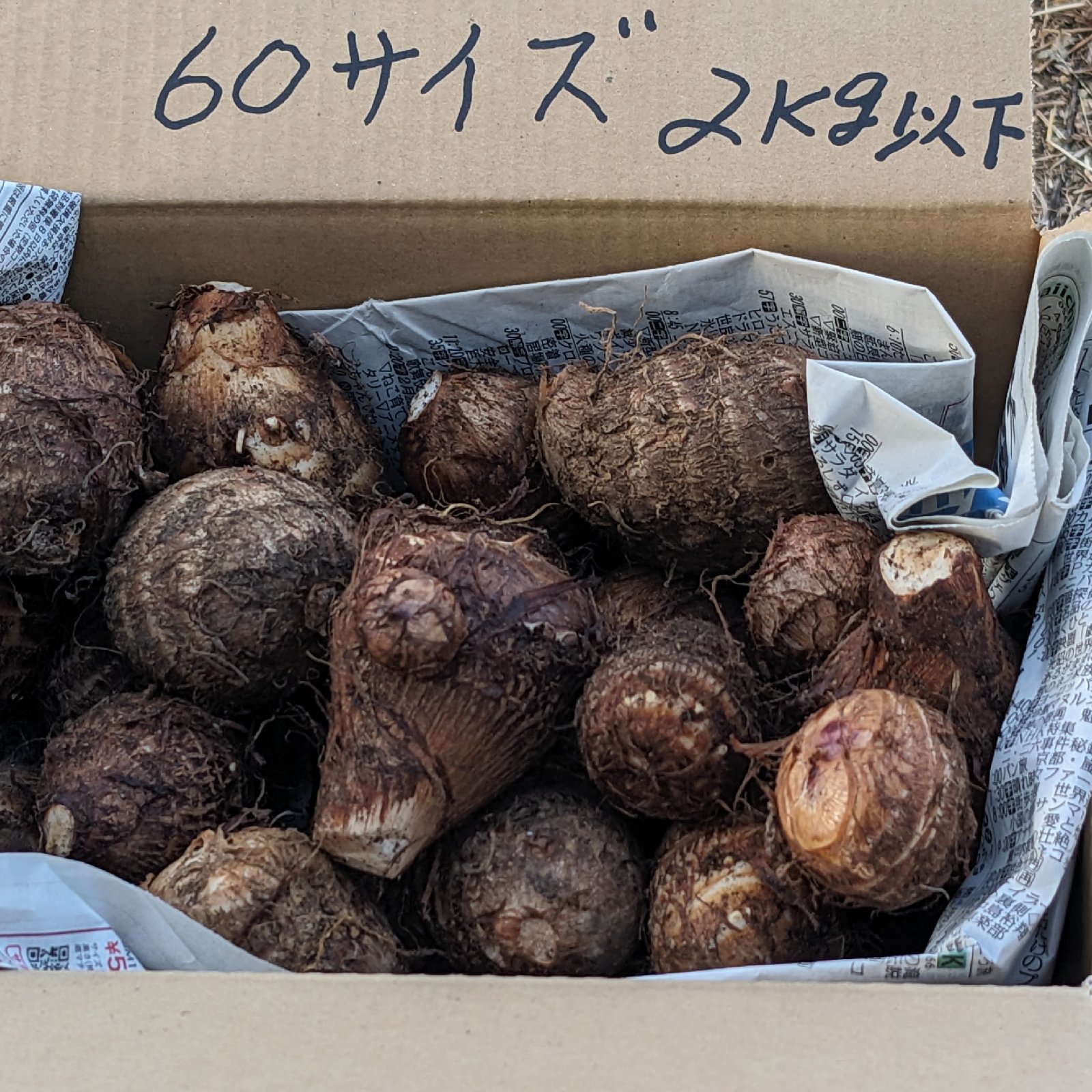 467a4db94233534d8199a59bb49f01