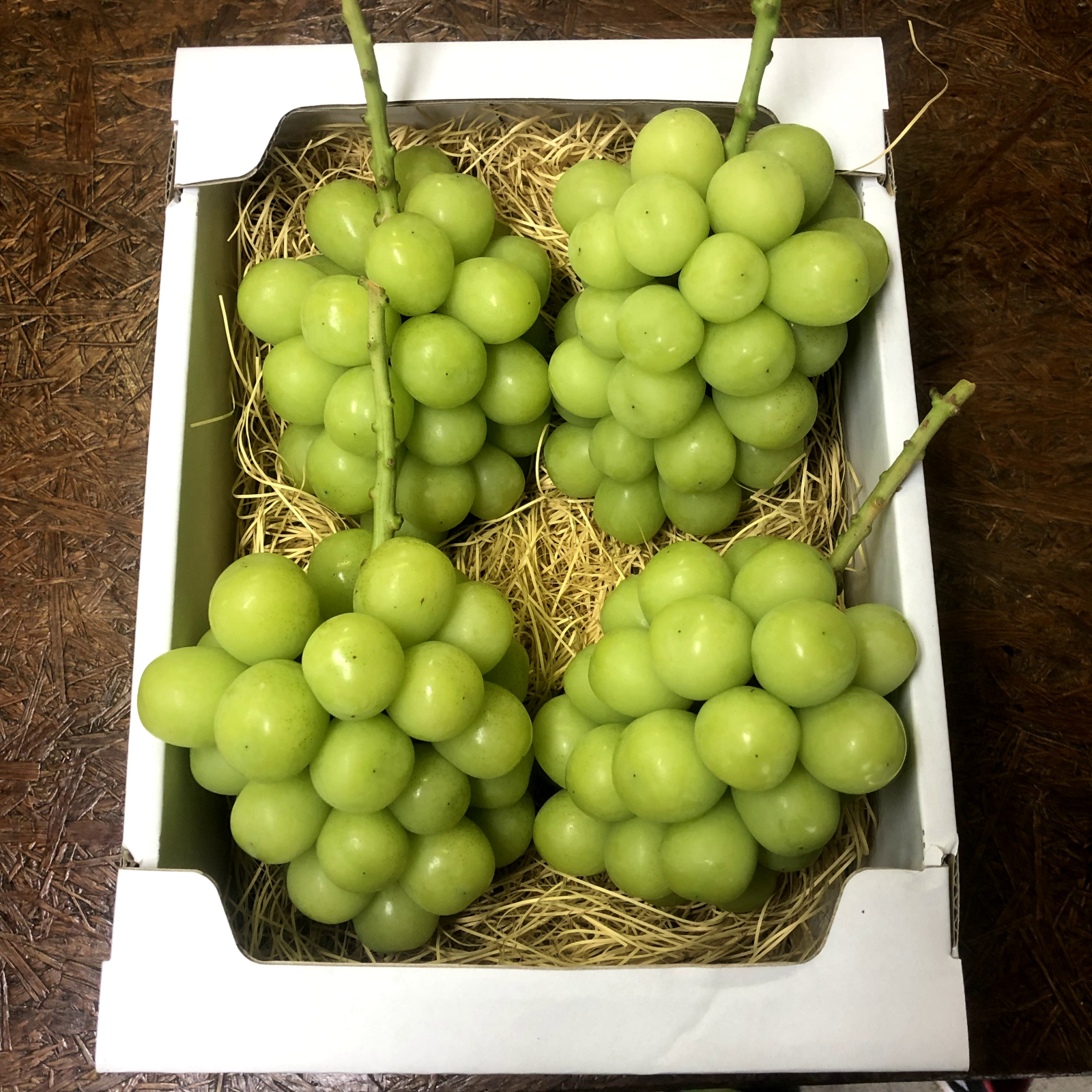 1.9〜2kg シャインマスカット 3房 岡山県産