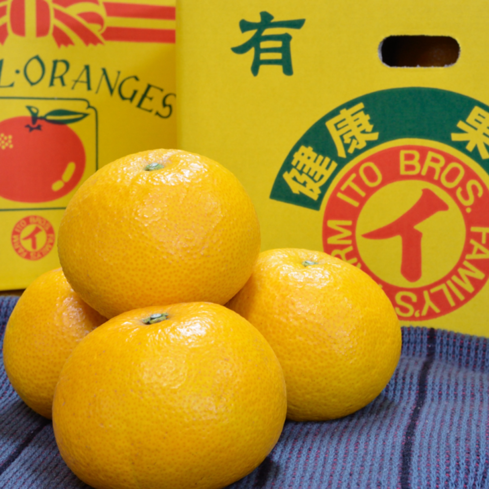 ☆八朔の常識がかわる！☆さつき八朔（樹上完熟八朔） プリプリで