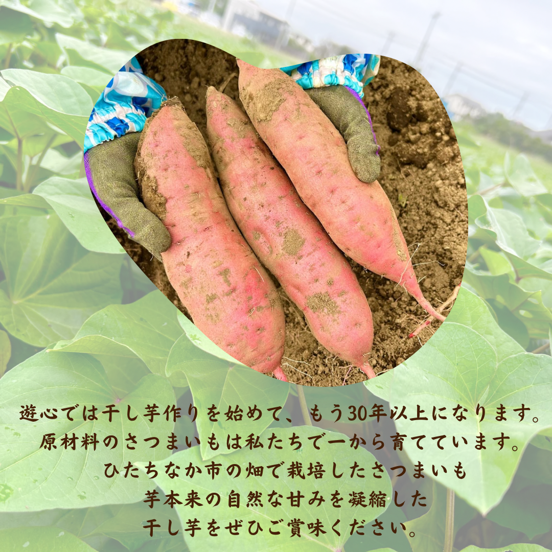 国産平干し芋1kg 茨城県ひたちなか産(紅はるか)×5セット 2月以降発送＞茨城県ひたちなか市産 紅はるか 使用 干し芋 1箱 大容量