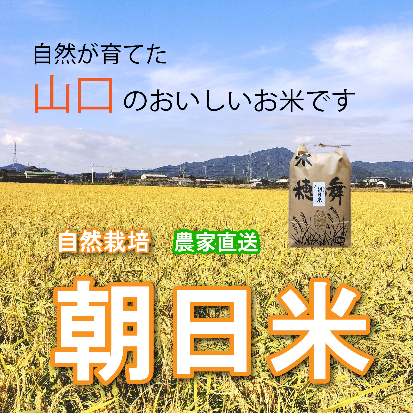 R7年朝日米 自然栽培(10年以上) で作った おいしいお米10kg（玄米