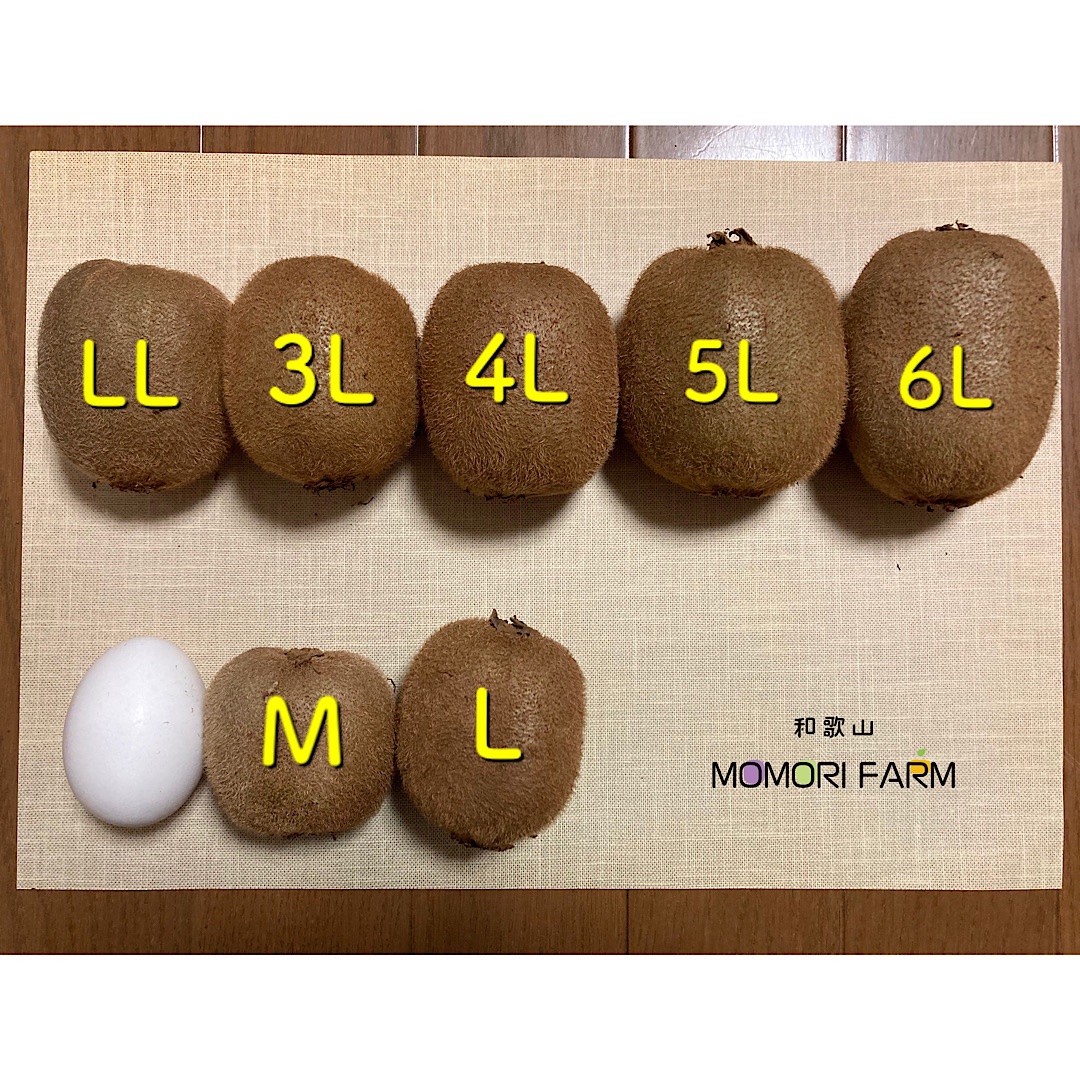 RAN【高級品】和歌山県産キウイ4L 20個入り、3L24個入り RAN様専用【高級品】和歌山県産キウイ4L 20個入り、3L24個入り