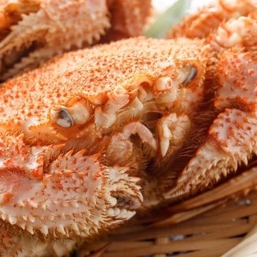 三陸産 （硬）毛蟹 1kg （3〜5杯入り ） ｜ 魚介類/カニ 産直アウル
