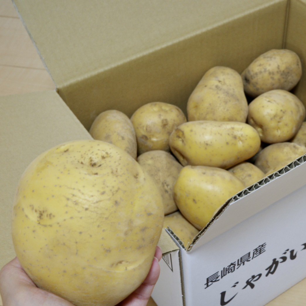 じゃがいも「ながさき黄金」 ｜ 野菜/じゃがいも 産直アウル 農家