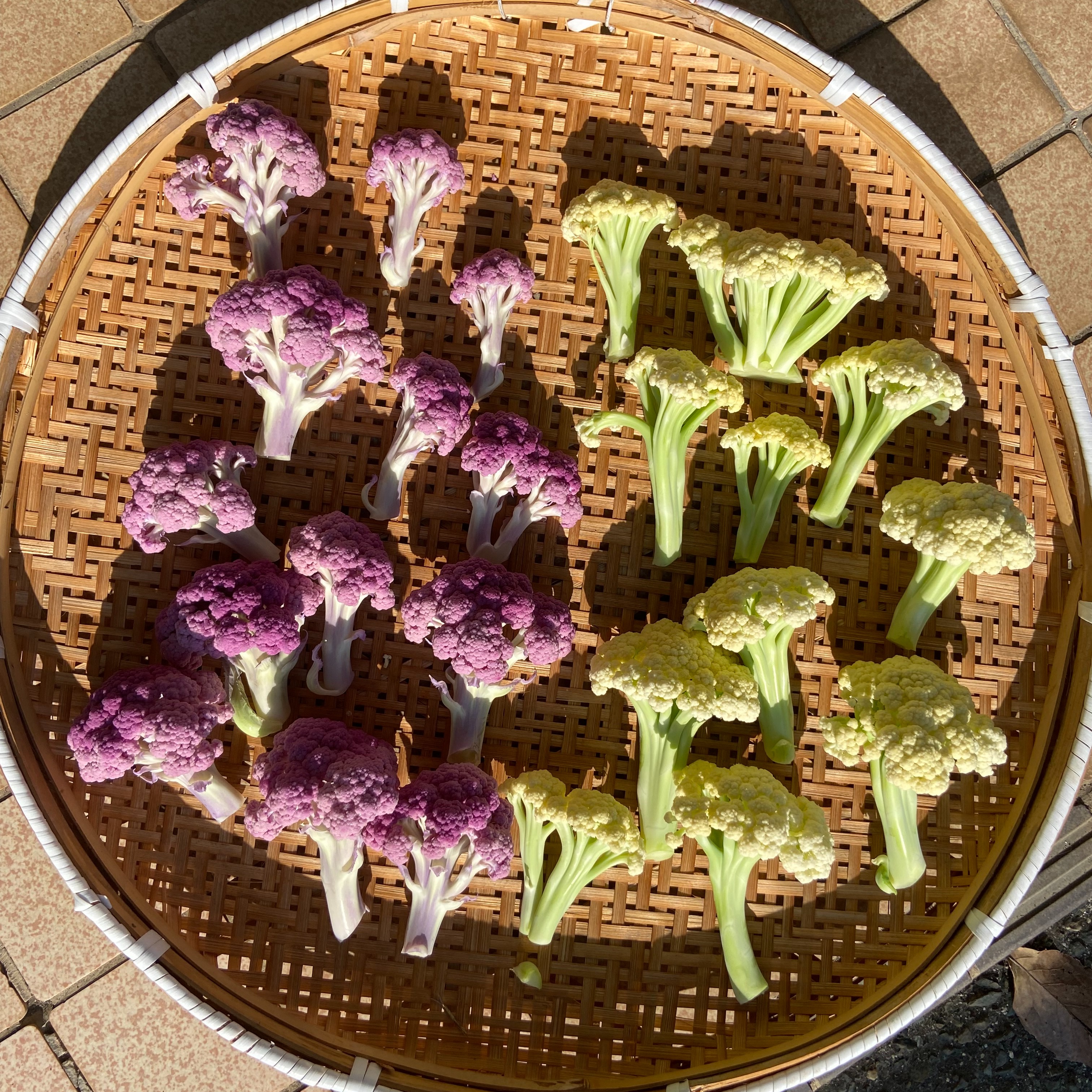 約2キロ新顔野菜 カリフローレミックス | 野菜/ブロッコリー 産直