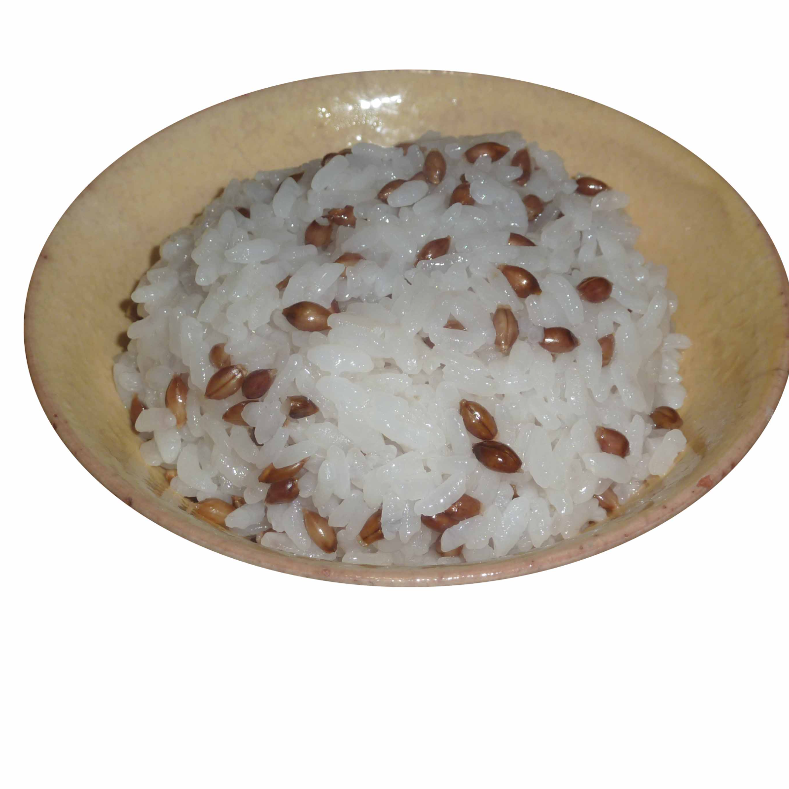 無肥料・自然栽培の紫もち麦(玄麦)800g【チャック袋】 ｜ 米・穀物