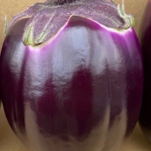 落ちてる茄子 世界1美味しいと言われているヴィオレッタ デ フィレンツェ ｜ 野菜
