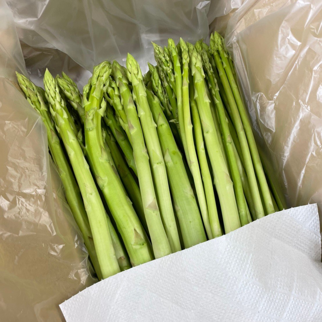 訳ありでも味はそのまま！森のアスパラ(有機肥料) ｜ 野菜/アスパラ