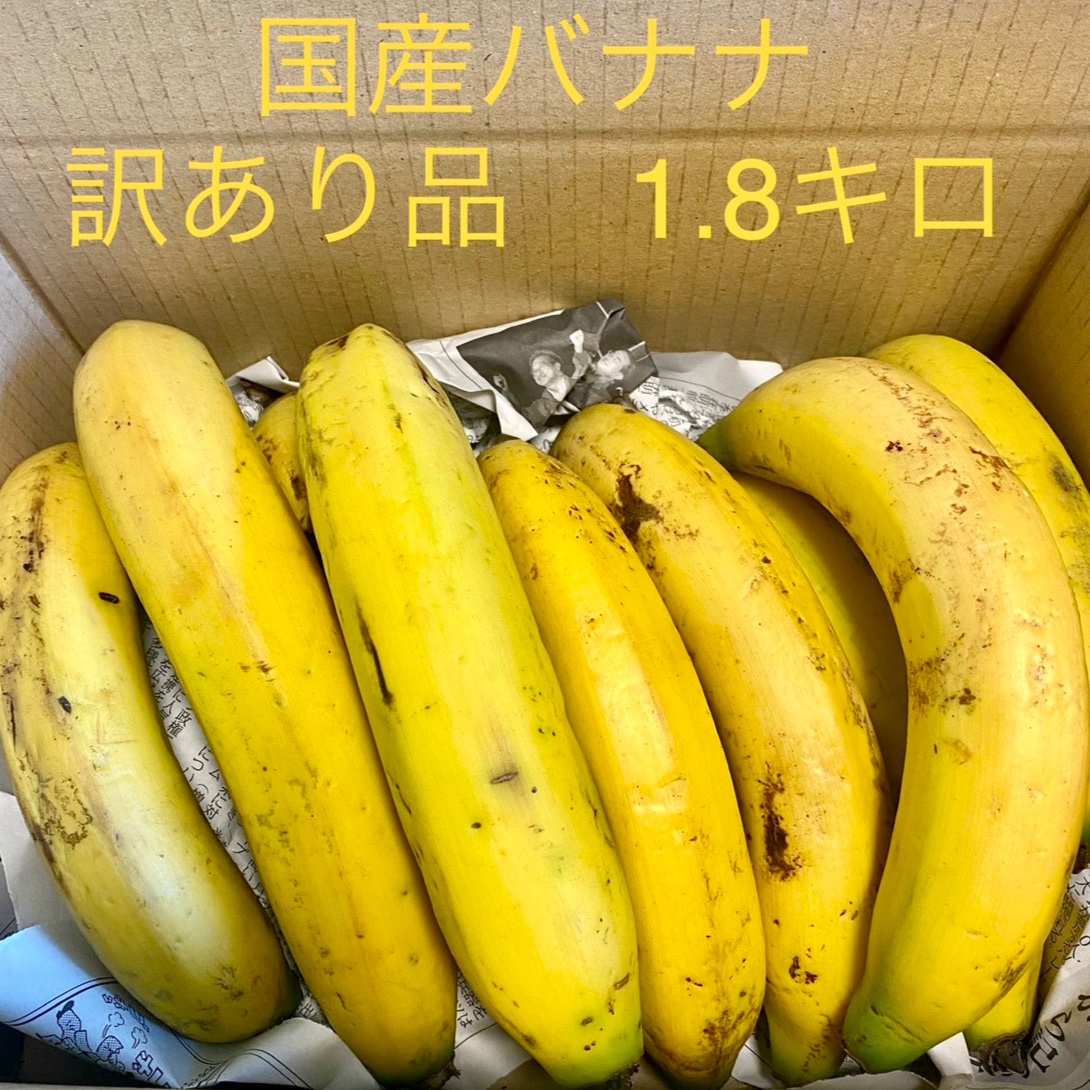 訳あり品 房総バナナ 1.8kg ｜ 果物/バナナ 産直アウル 農家・漁師など