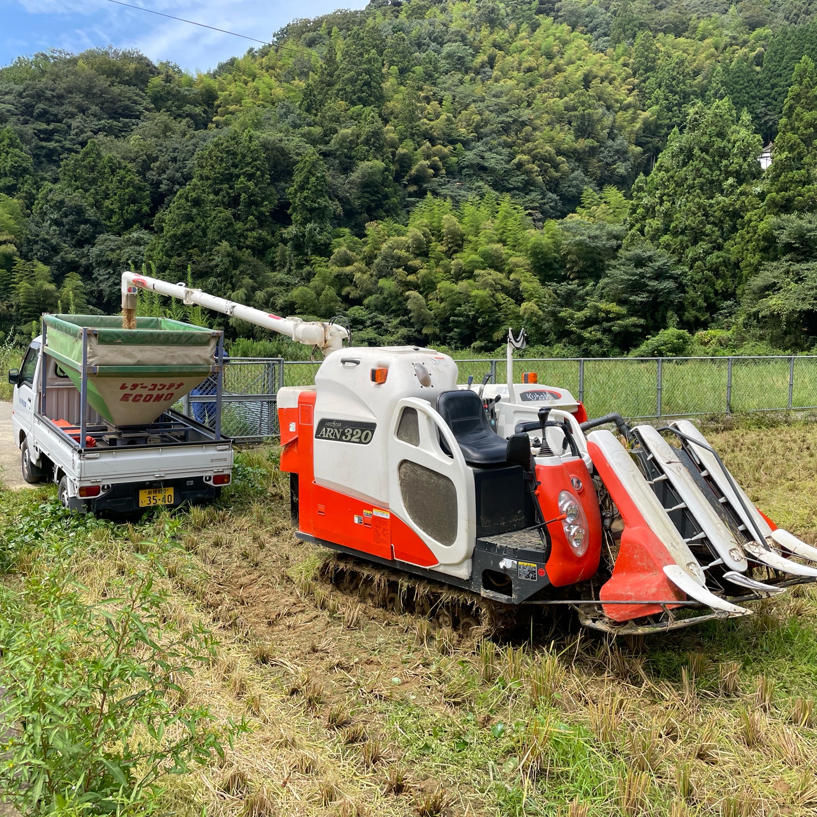 産直！令和6年産【新米】心を込めて古和の米10キロ 島根県浜田市産