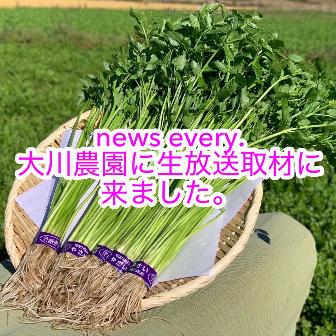 489232ce64eeac0d1a6bc35c69c61e