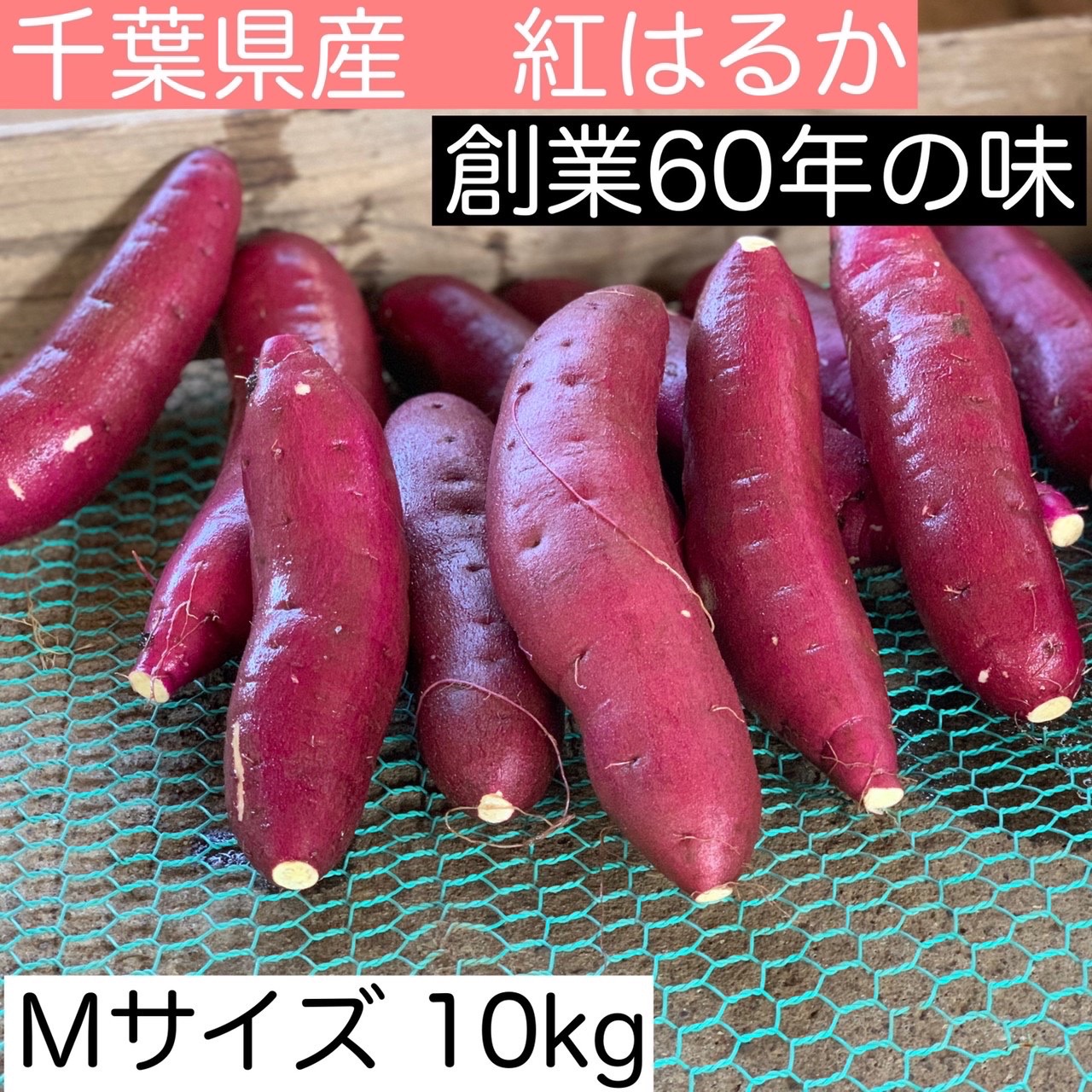 人気サイズ！！】さつまいも (紅はるか) A級 Mサイズ 10kg[送料別