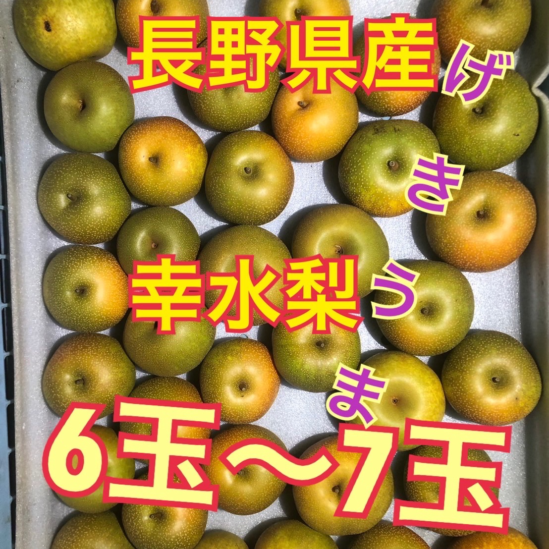 99142287_5