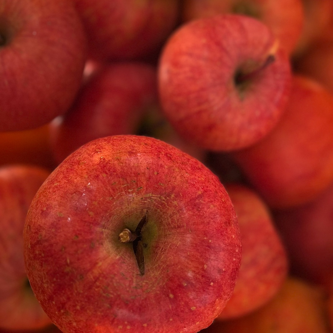 甘さ濃厚‼️山形県産サンふじ【小玉訳あり5キロ】 | 果物/りんご 産直