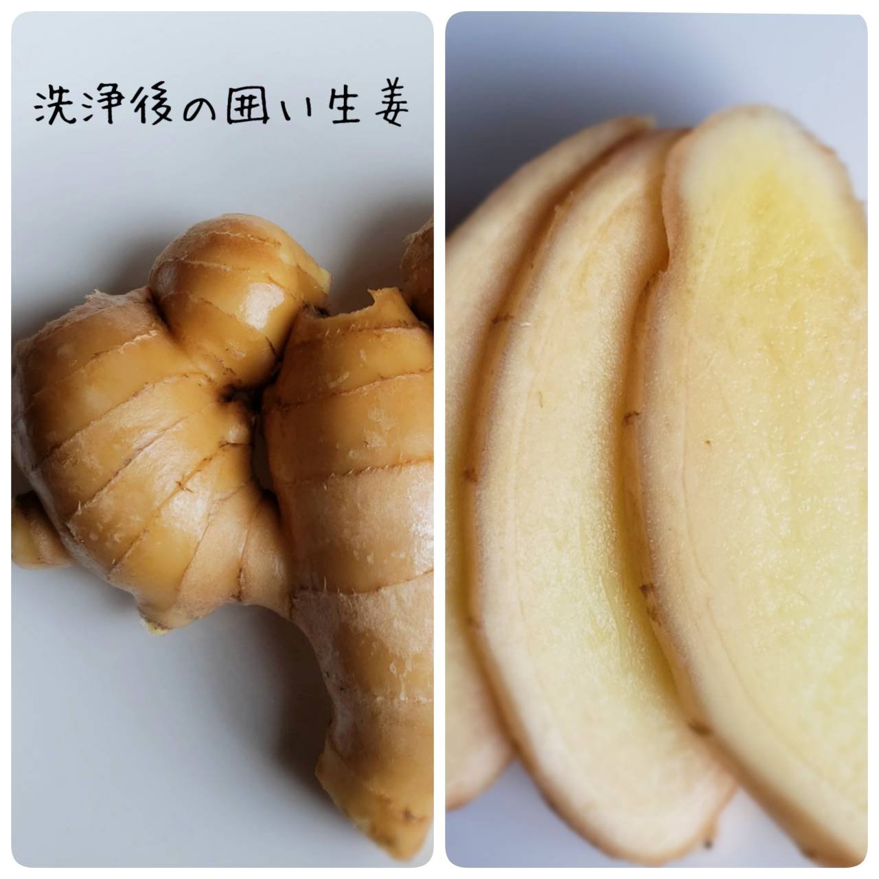 小サイズ土付き囲い生姜 10kg こま割れ 土付き囲い生姜9kg ｜ 野菜/薬味 産直アウル 農家・漁師など