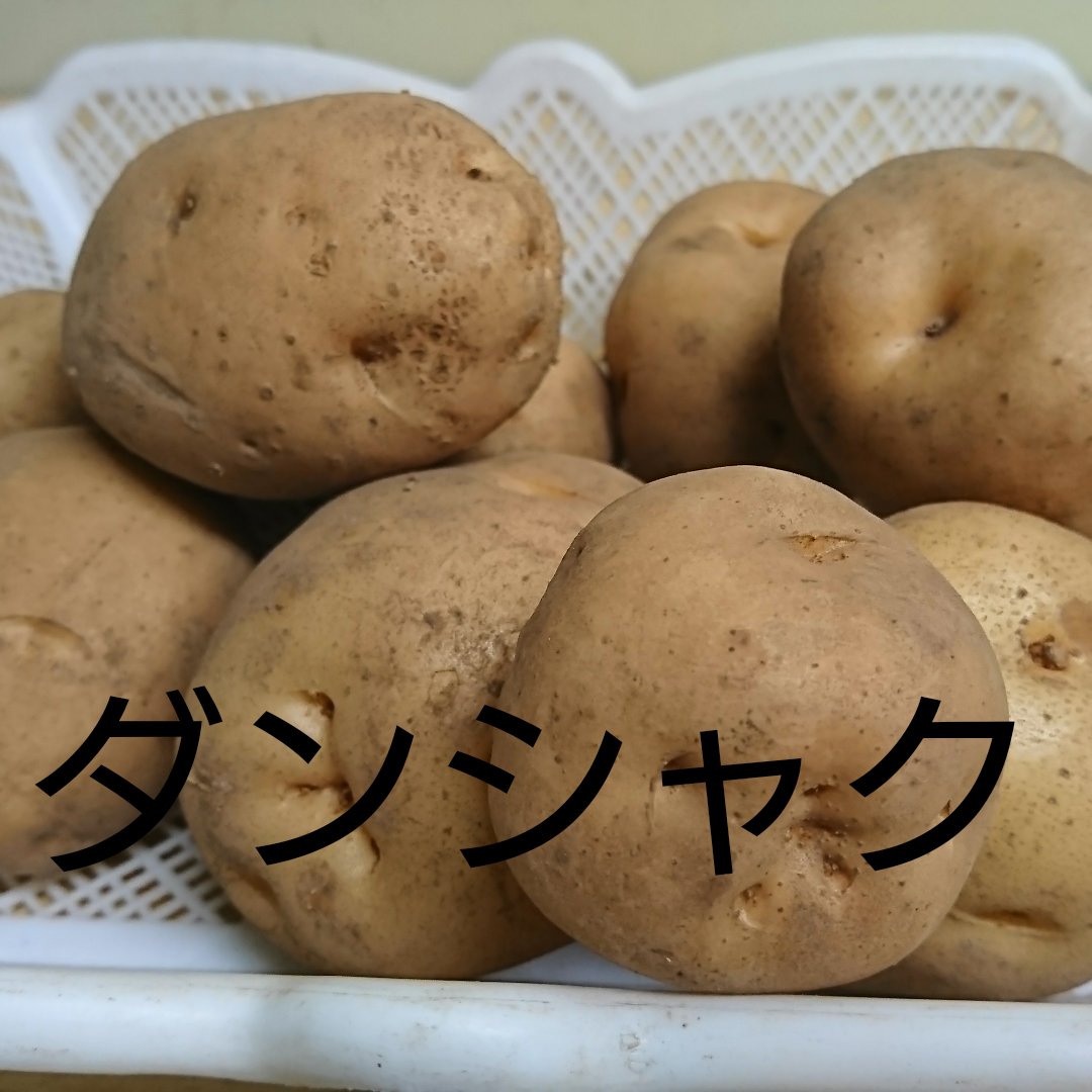 やさかえファームのじゃがいも 2種セットA (サイズばら S〜2Lサイズ