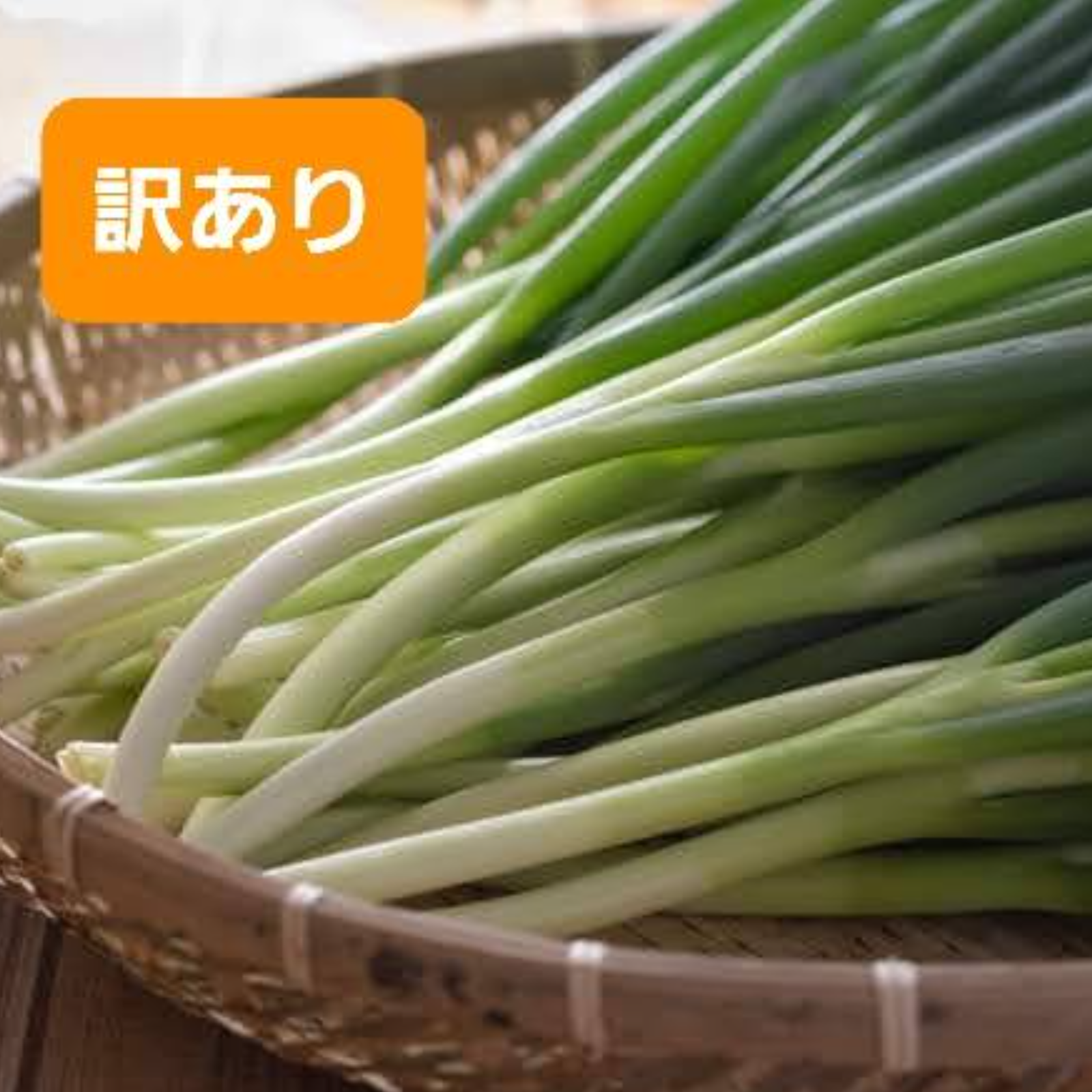 訳あり5㎏】ねっこ農園の青ネギ ｜ 野菜/ねぎ 産直アウル 農家・漁師