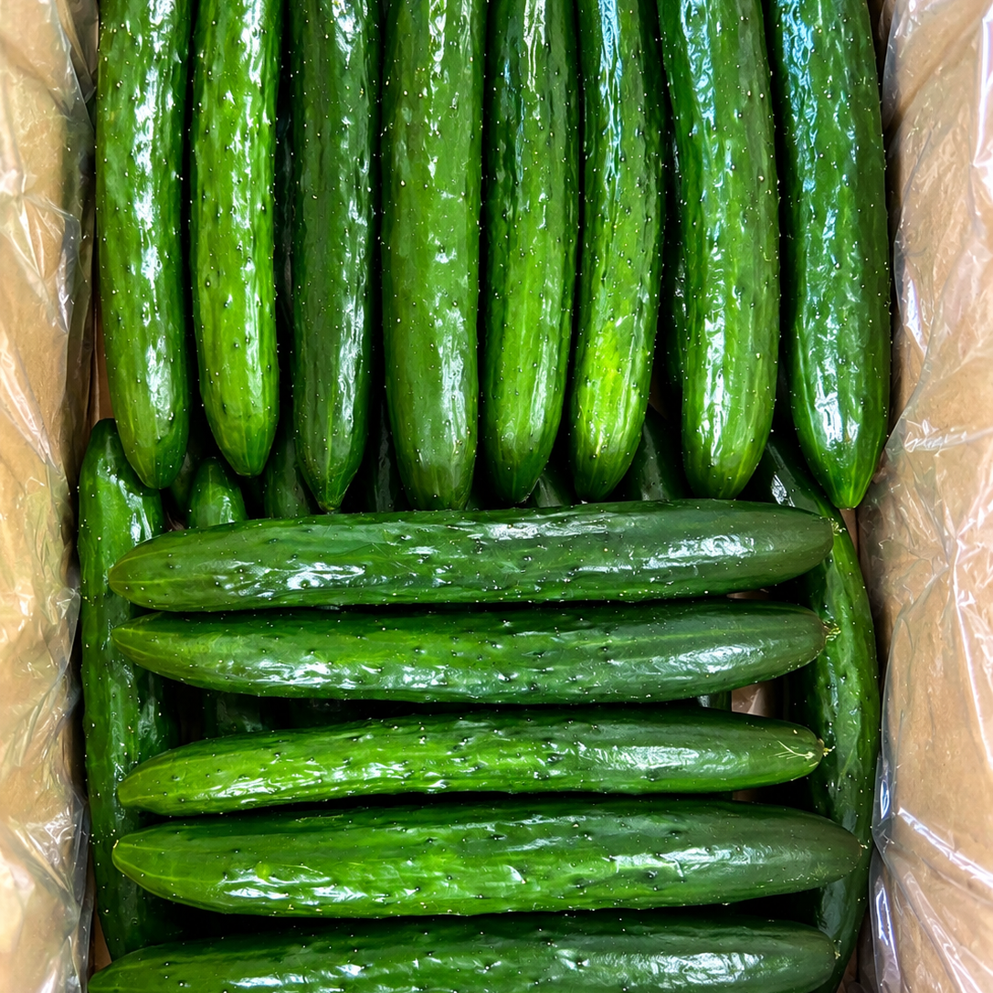 きゅうりさん専用 期間限定10％OFF】埼玉県深谷市産 家庭用きゅうり 3kg ｜ 野菜