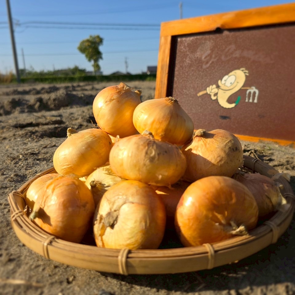 栽培中無農薬】静岡県浜松市産 小玉葱 3kg ｜ 野菜/玉ねぎ 産直アウル