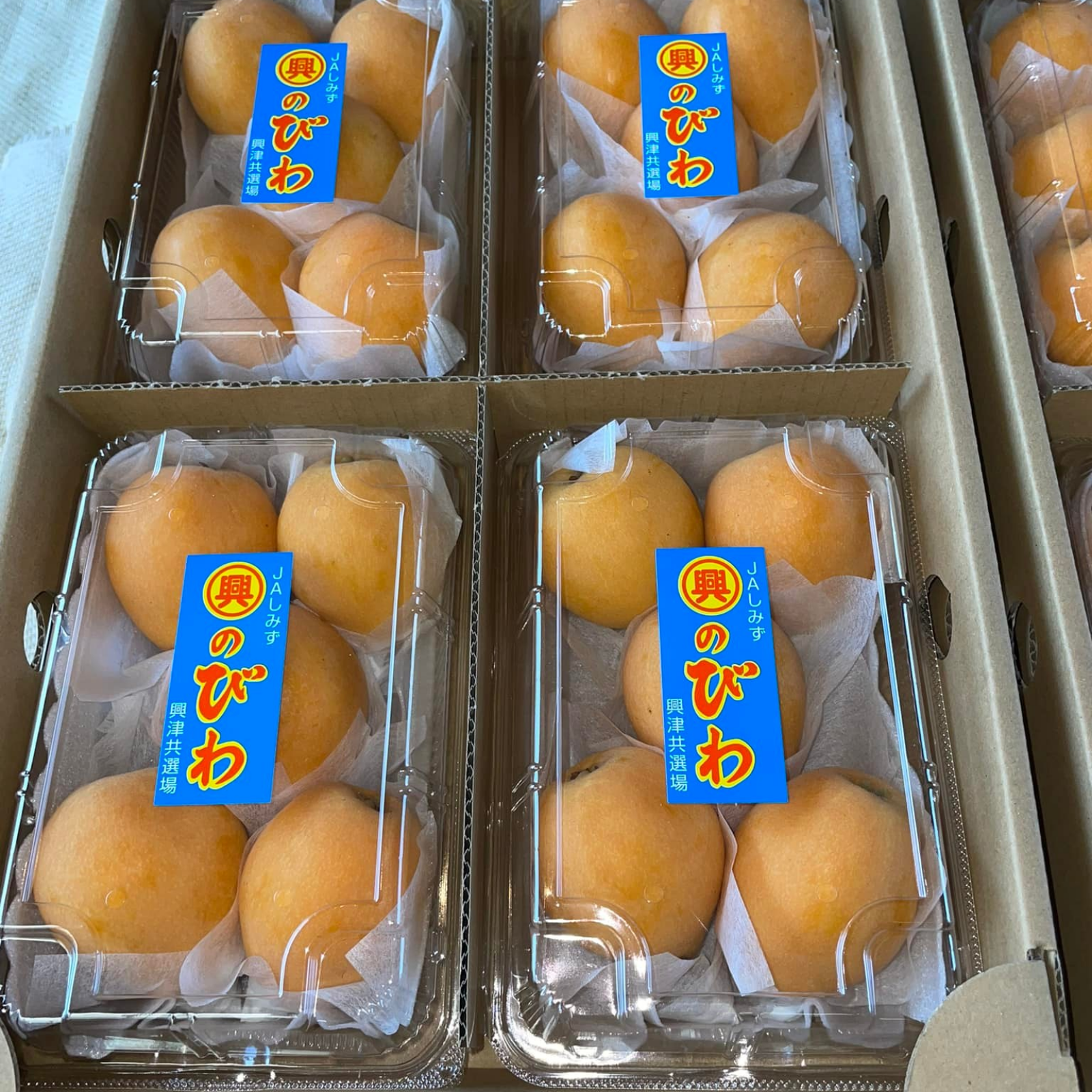 幻の味 興津びわ 田中ビワ 贈答用に優秀品 1週間限定販売 ２lサイズ４パック箱入り 果物 びわ 産直アウル 農家から直接野菜などの食材を購入できる産地直送の宅配通販サイト