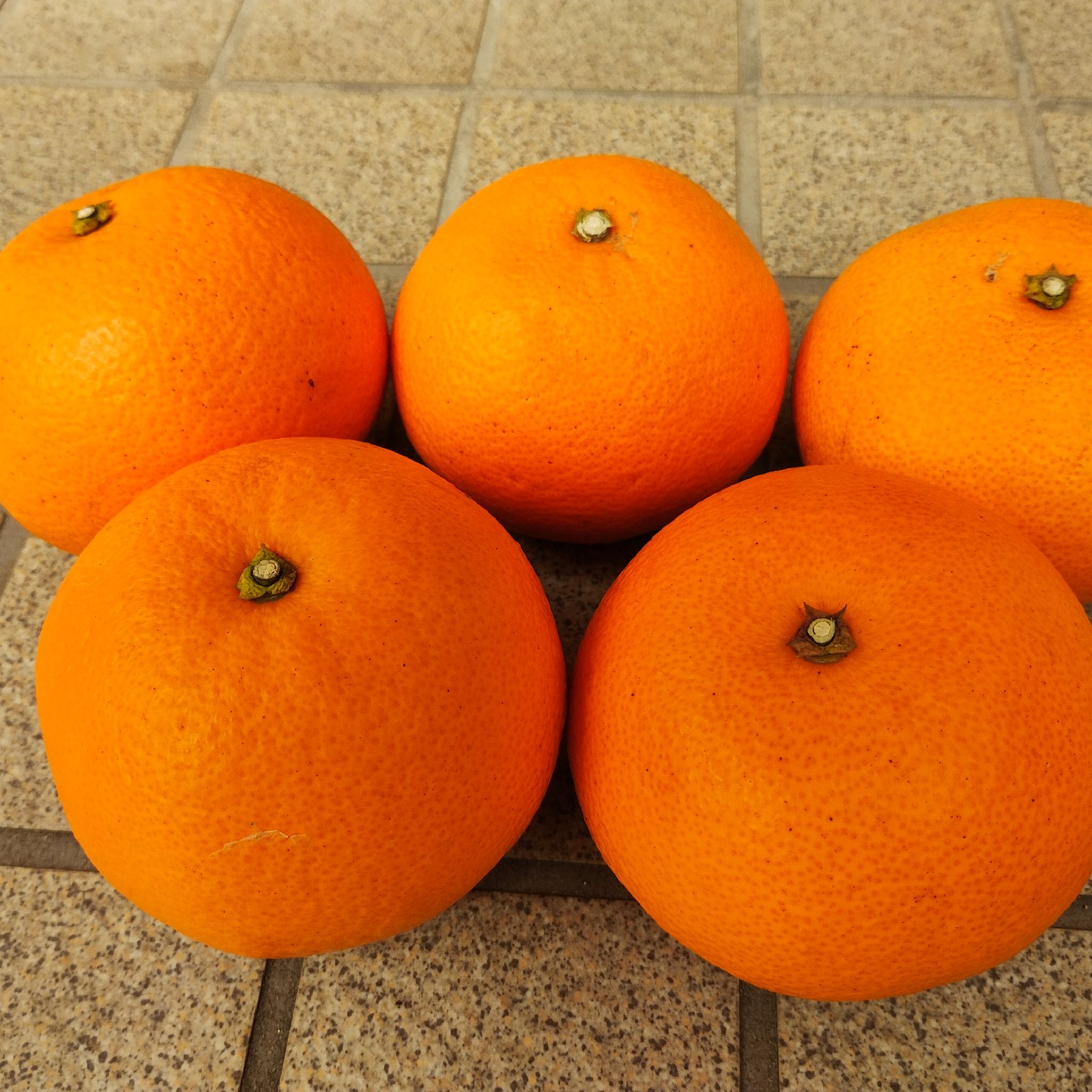 広島産八朔(はっさく）味自慢3Lサイズ特上品（10K） | 果物