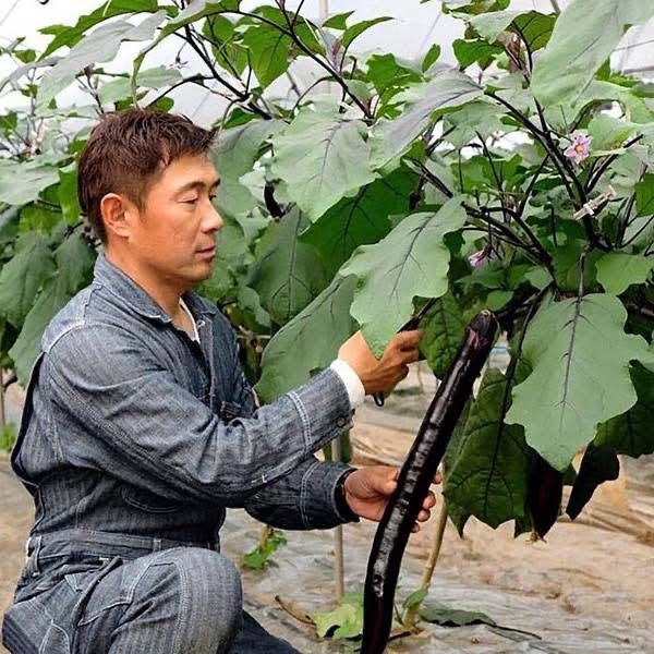 4a0c6d2751b7e772d97e024f60df85