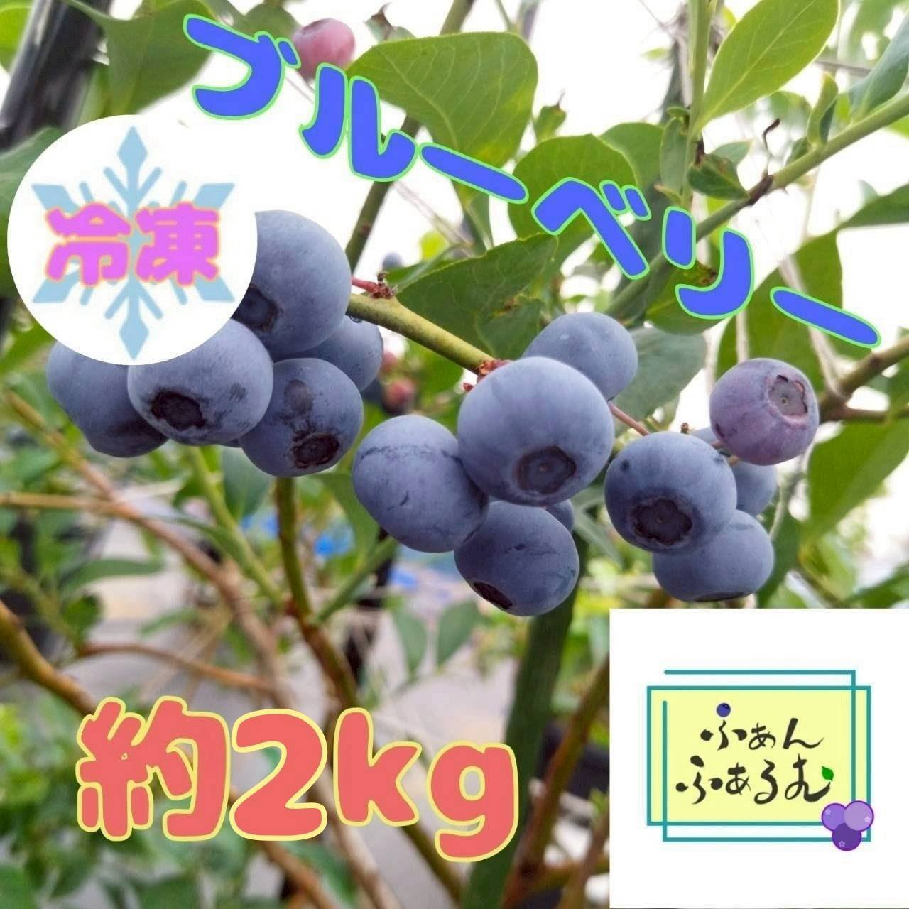 樹上完熟】冷凍ブルーベリー品種MIX 2kg ｜ 果物/ベリー類 産直アウル 