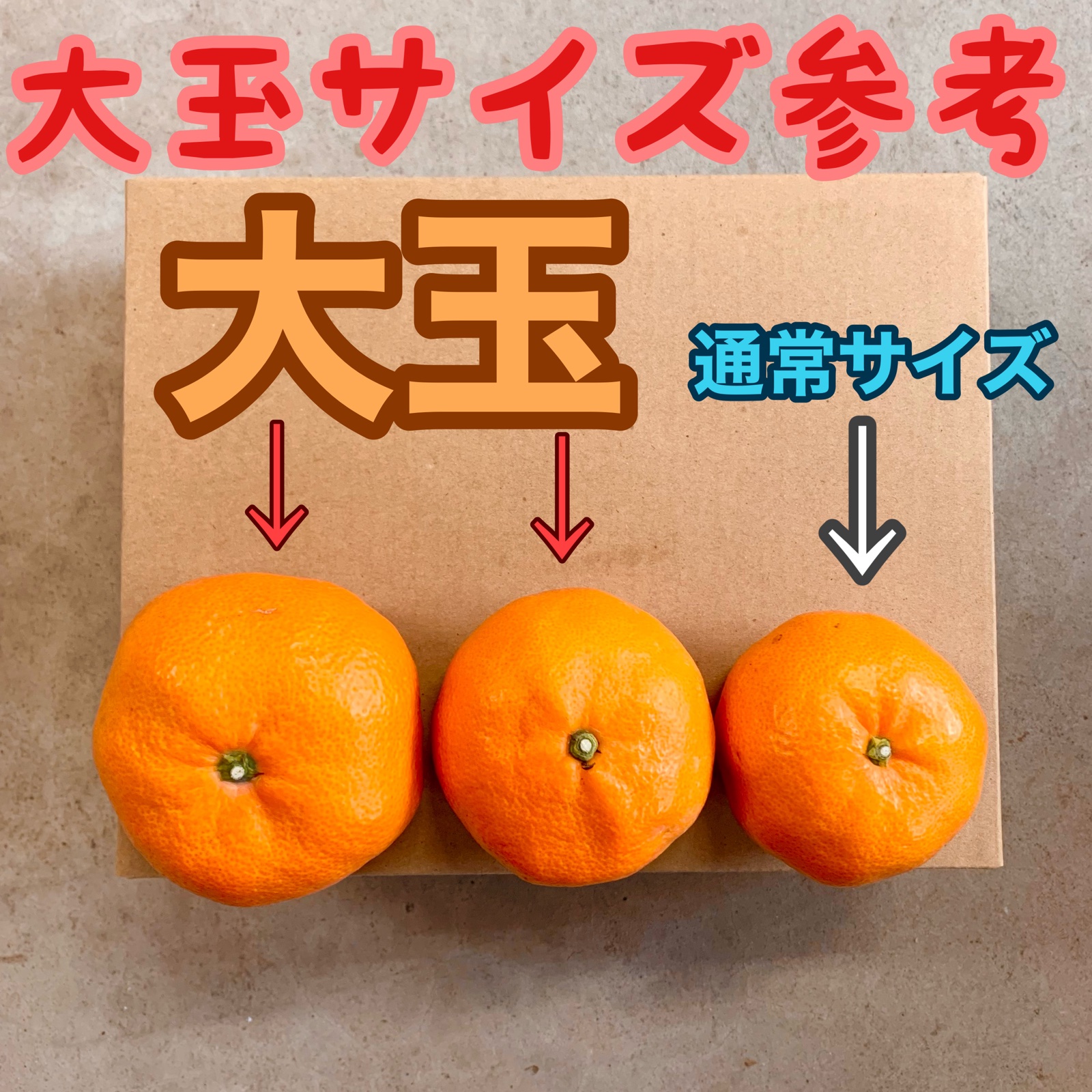 訳あり：大玉) 酸味の少ない唐津産温州みかん 10キロ ｜ 果物/温州