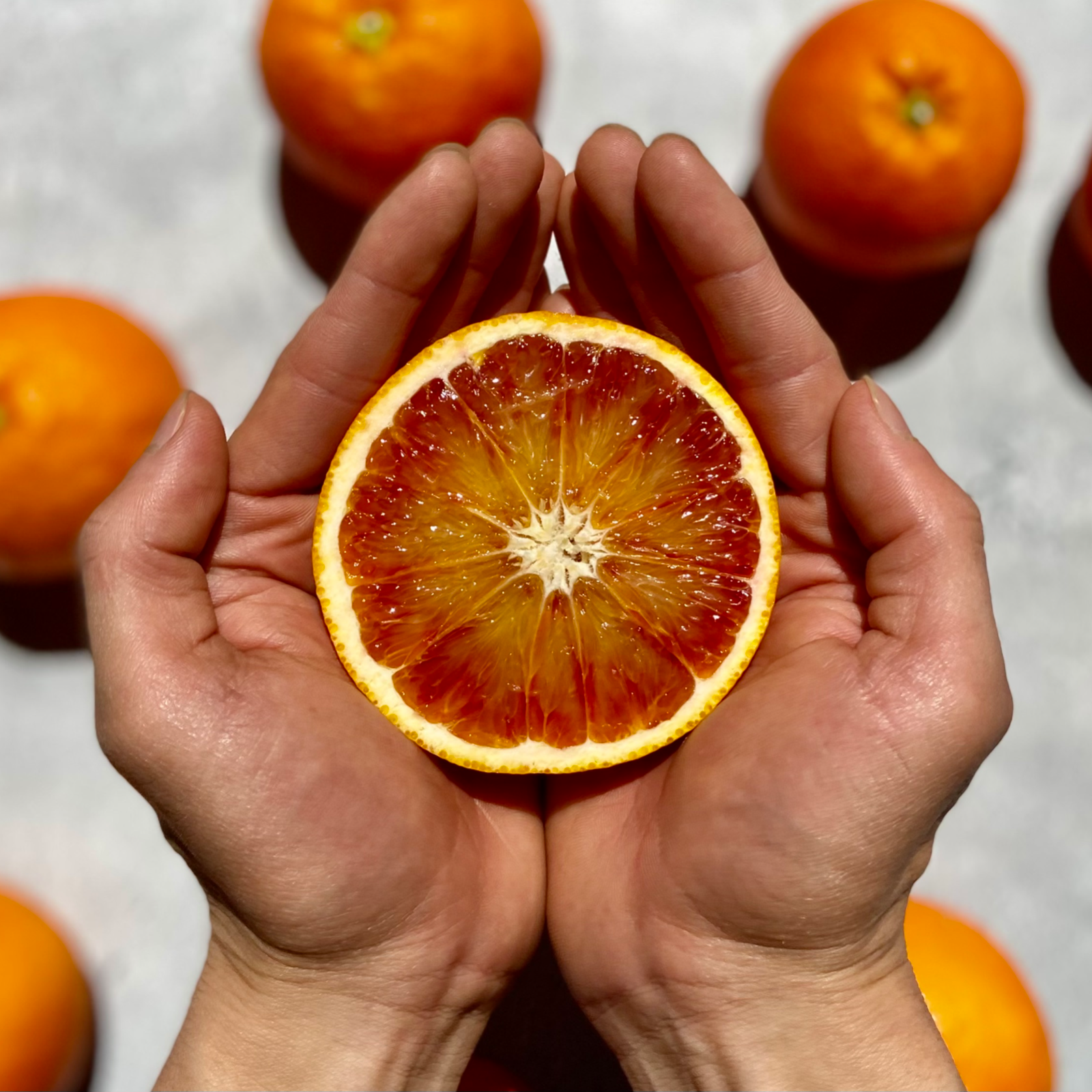 真っ赤な高級柑橘】 ブラッドオレンジ5kg 【さわやかな酸味と豊かな