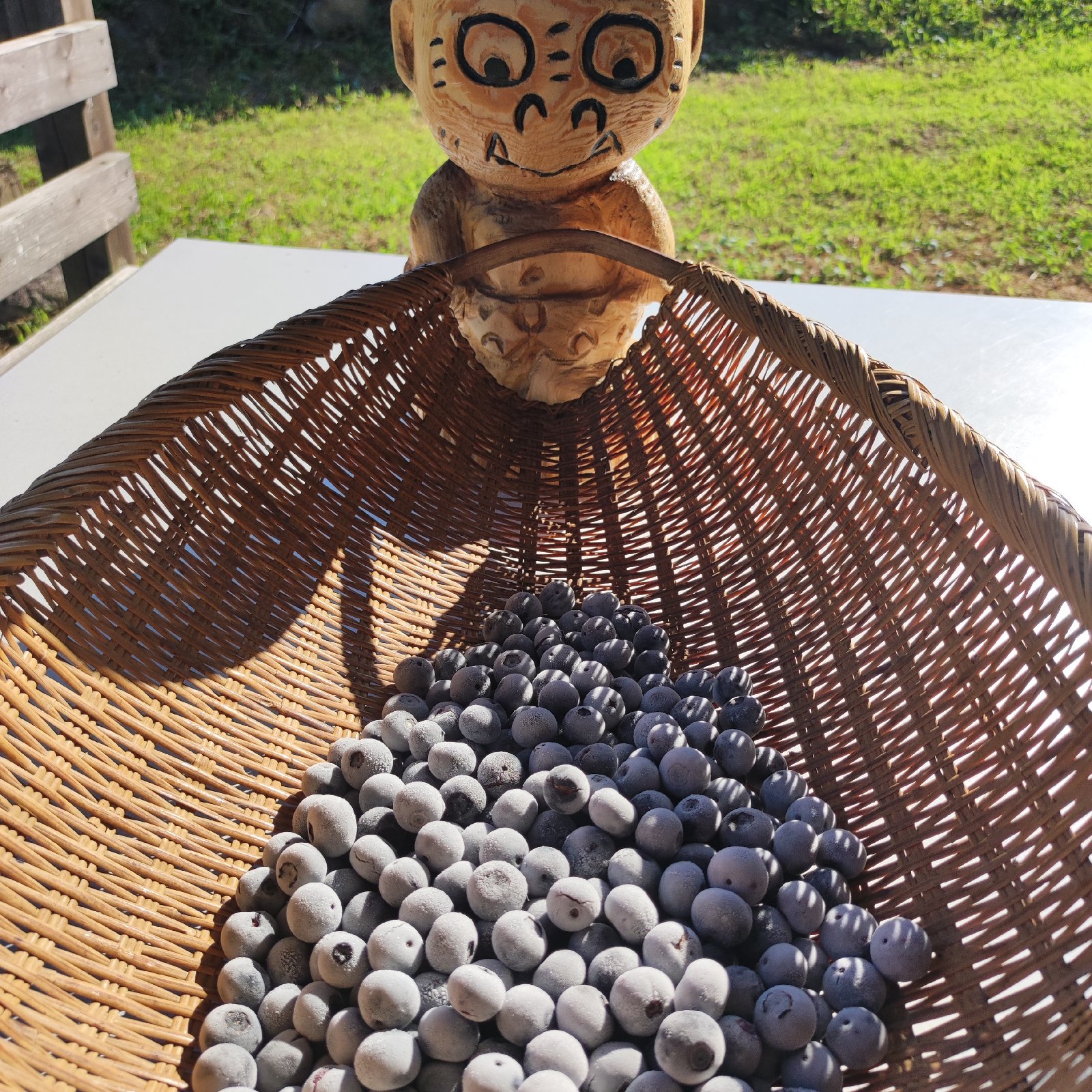 選別済、そのまま食べて欲しい完熟冷凍ブルーベリー4kg | 果物/ベリー