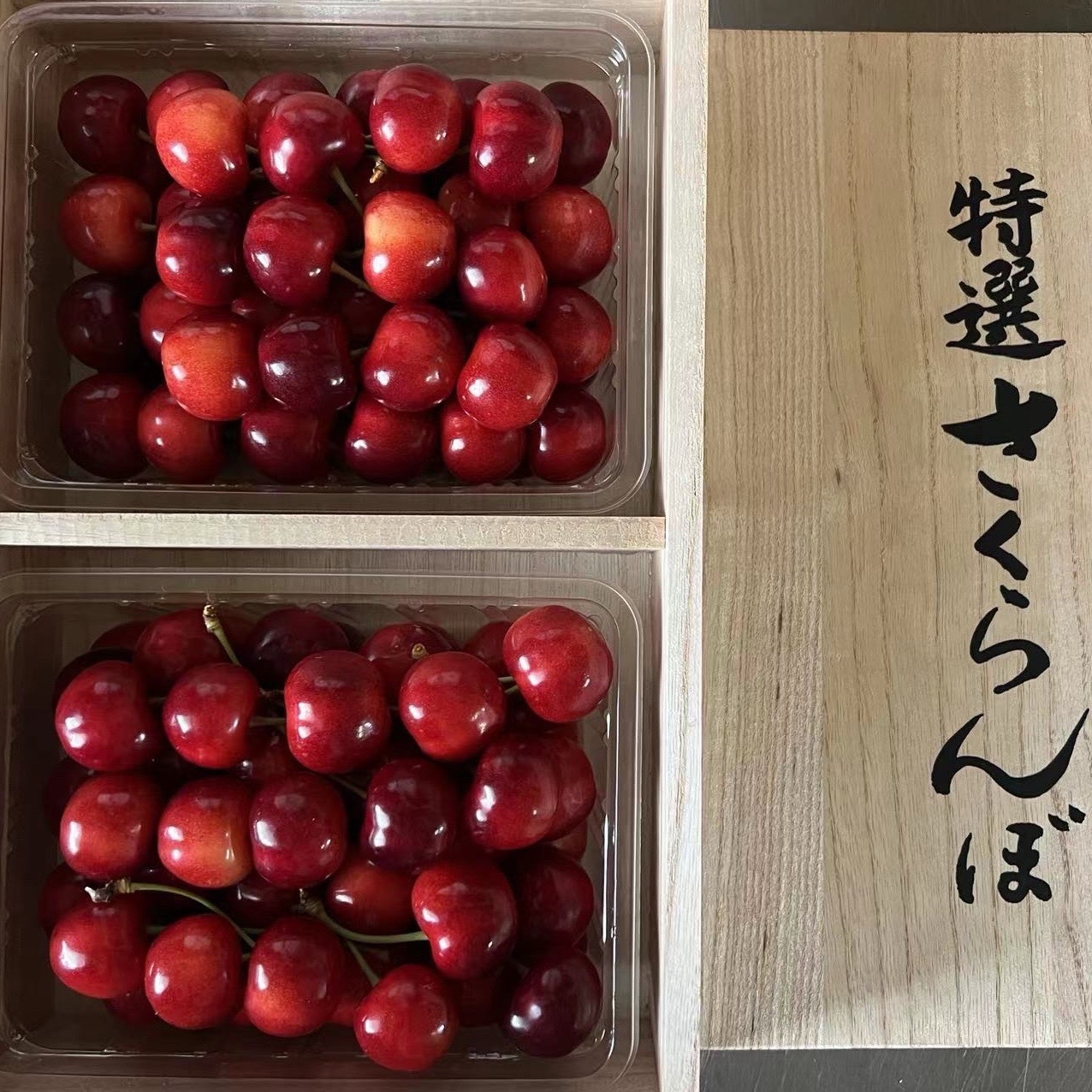 限定出品山形県産「やまがた紅王」3Lサイズ以上 ｜ 果物/さくらんぼ