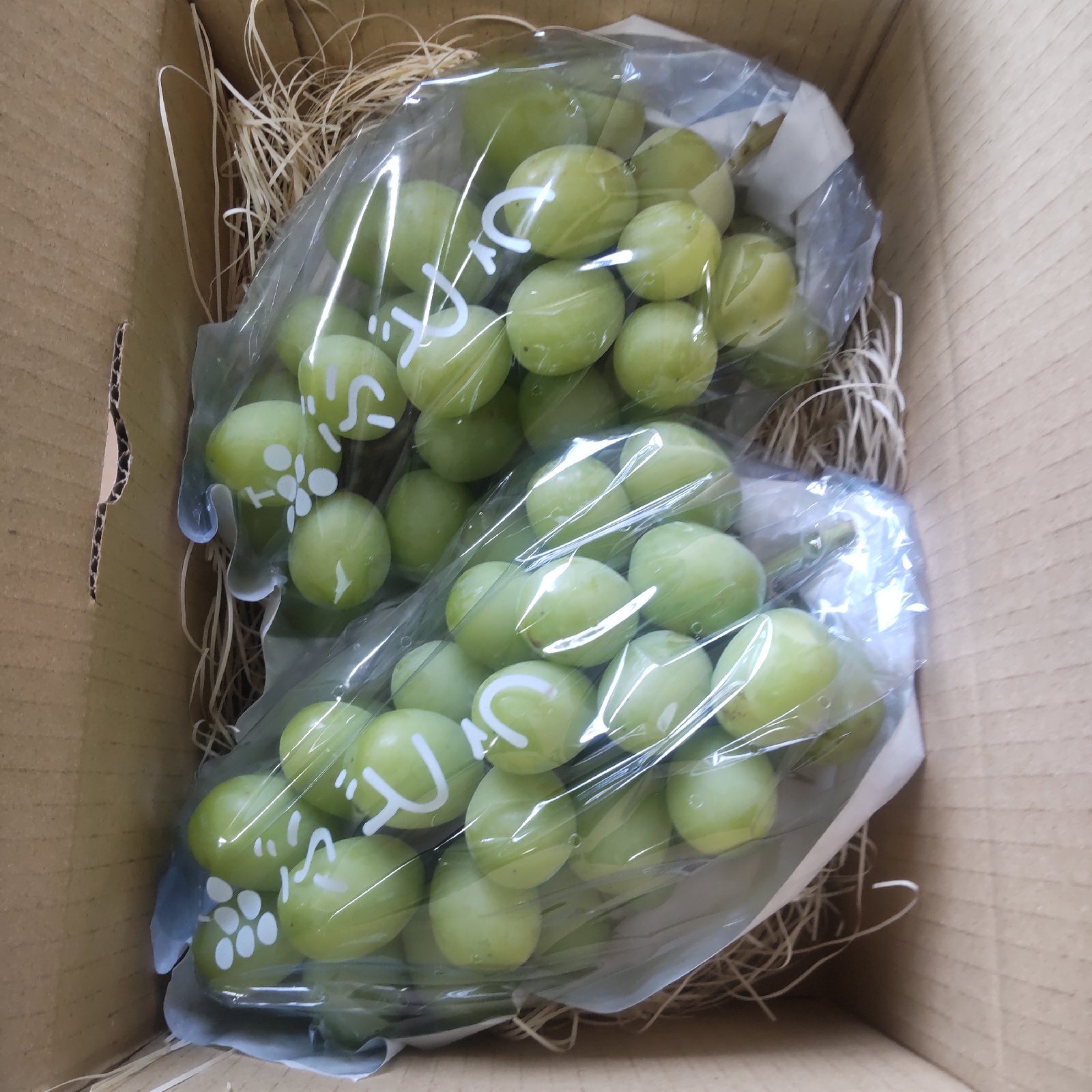 78 【島根県産】シャインマスカット約2キロ(3〜5房)×2 4b62e4cbf851160ec1b6cc22ecf0b9