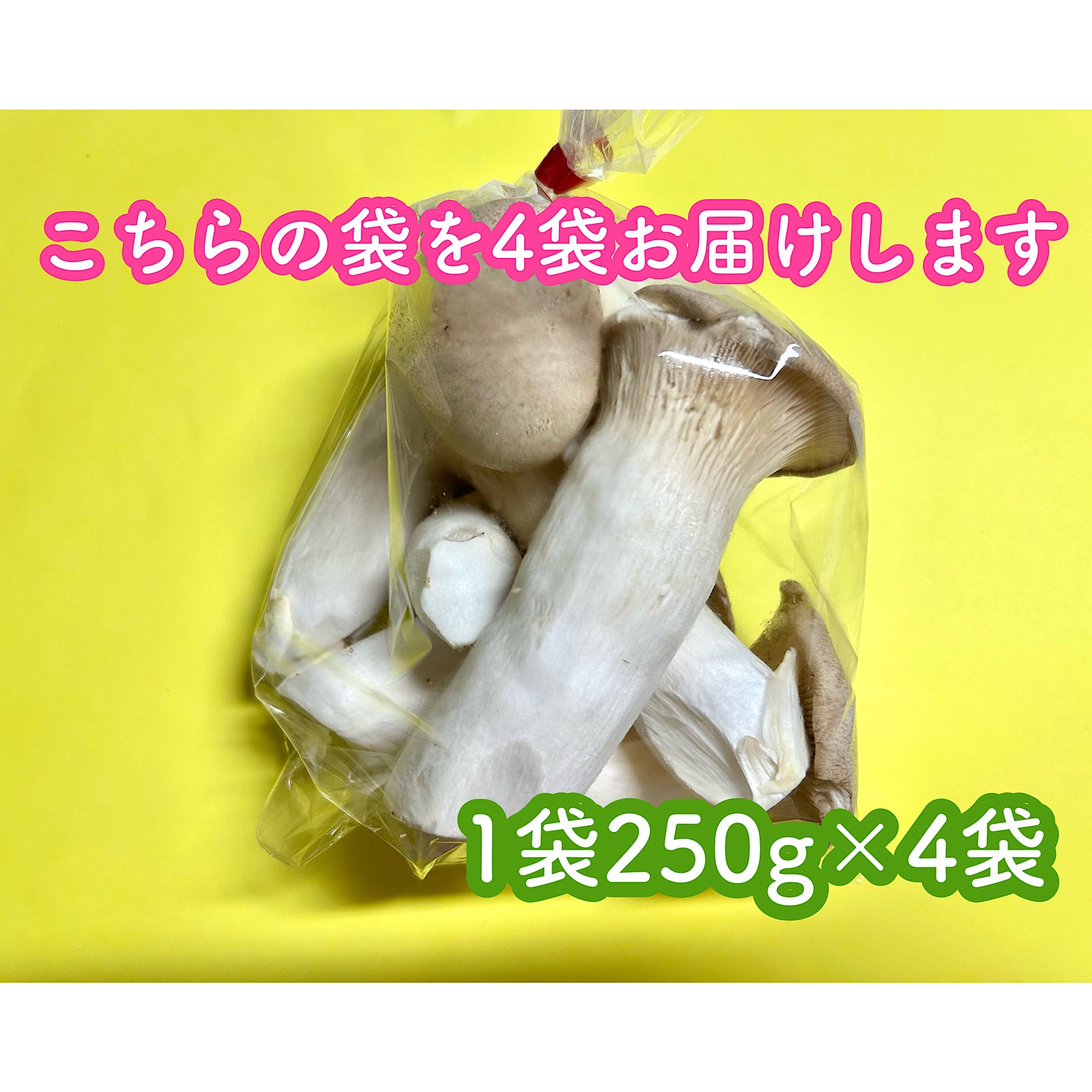 エリンギページ 特別セール】B品エリンギ1kg(250g×4袋) ｜ 野菜/きのこ 産直アウル