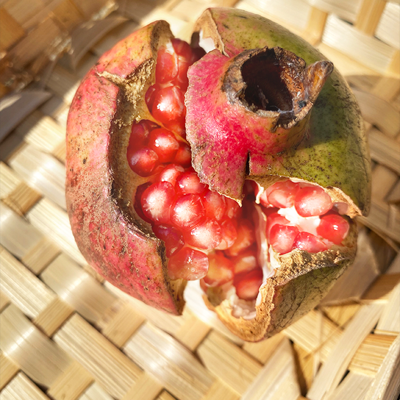 超希少】国産ザクロ（約250g、1~2個）農薬・化学肥料不使用 | 果物