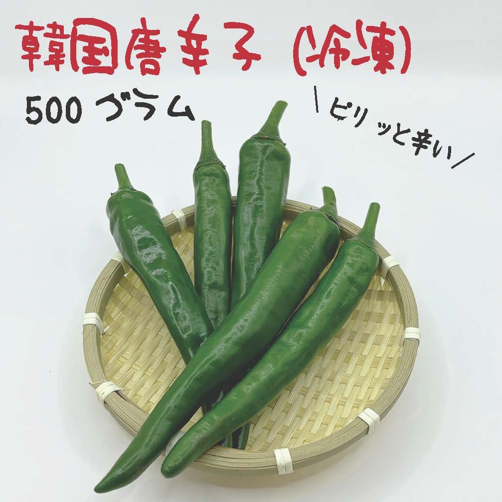5/10発送　クール便　韓国　新鮮　生青唐辛子　激辛　10kg 韓国唐辛子 約500g 宮崎産 冷凍 激辛 収穫後に急速冷凍 | 野菜