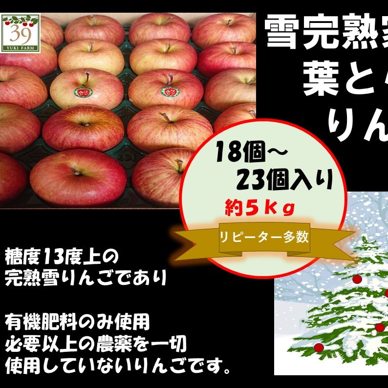 青森県産りんご [6周年限定] 糖度13%以上保証 自然葉とらずサンふじ5kg