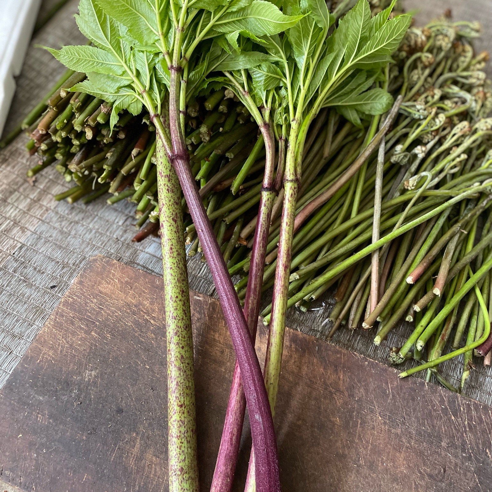 秋田ならではの ミョウサク塩漬け 1,000g ｜ 野菜/山菜 産直アウル 