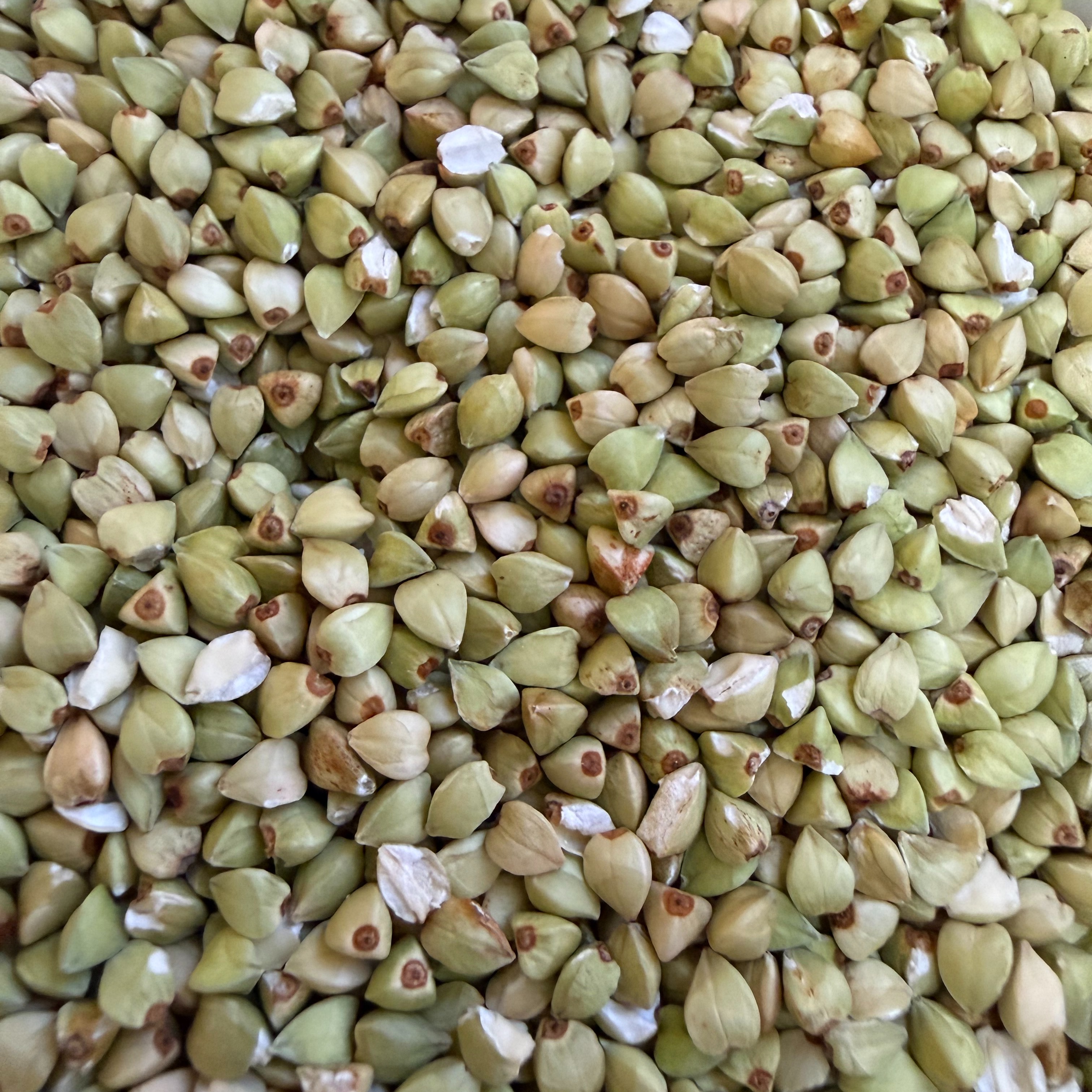 送料込み！！宮崎県R7年産そばの実400g ｜ 米・穀物/雑穀 産直アウル