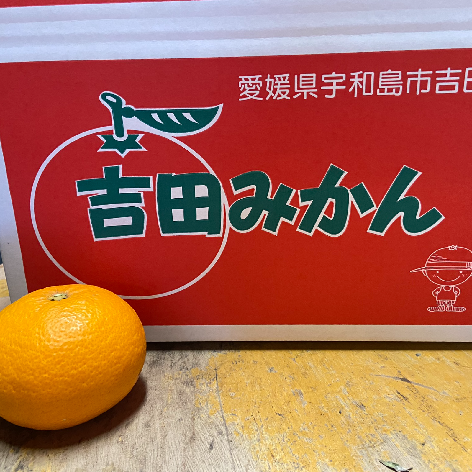 木取り無選果】紅甘夏（5kg） | 果物/オレンジ・その他みかん 産直