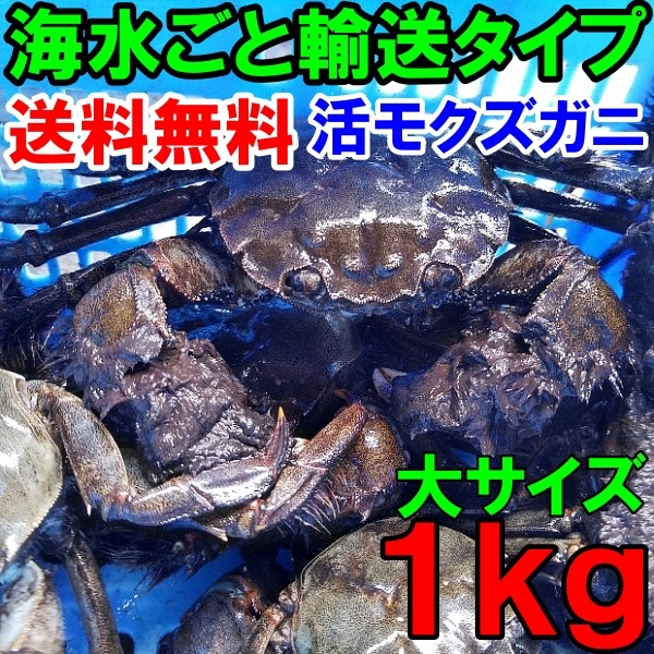 活モクズガニ海で漁獲品 大サイズ1kg(目安5-7杯)ツガニ つがに 宮城県松島湾産 なんと海です！ 配送地域限定品(四国中国九州沖縄は不可能です)  他に小中サイズも出品中 もくずがに | 魚介類/カニ 産直アウル 農家から