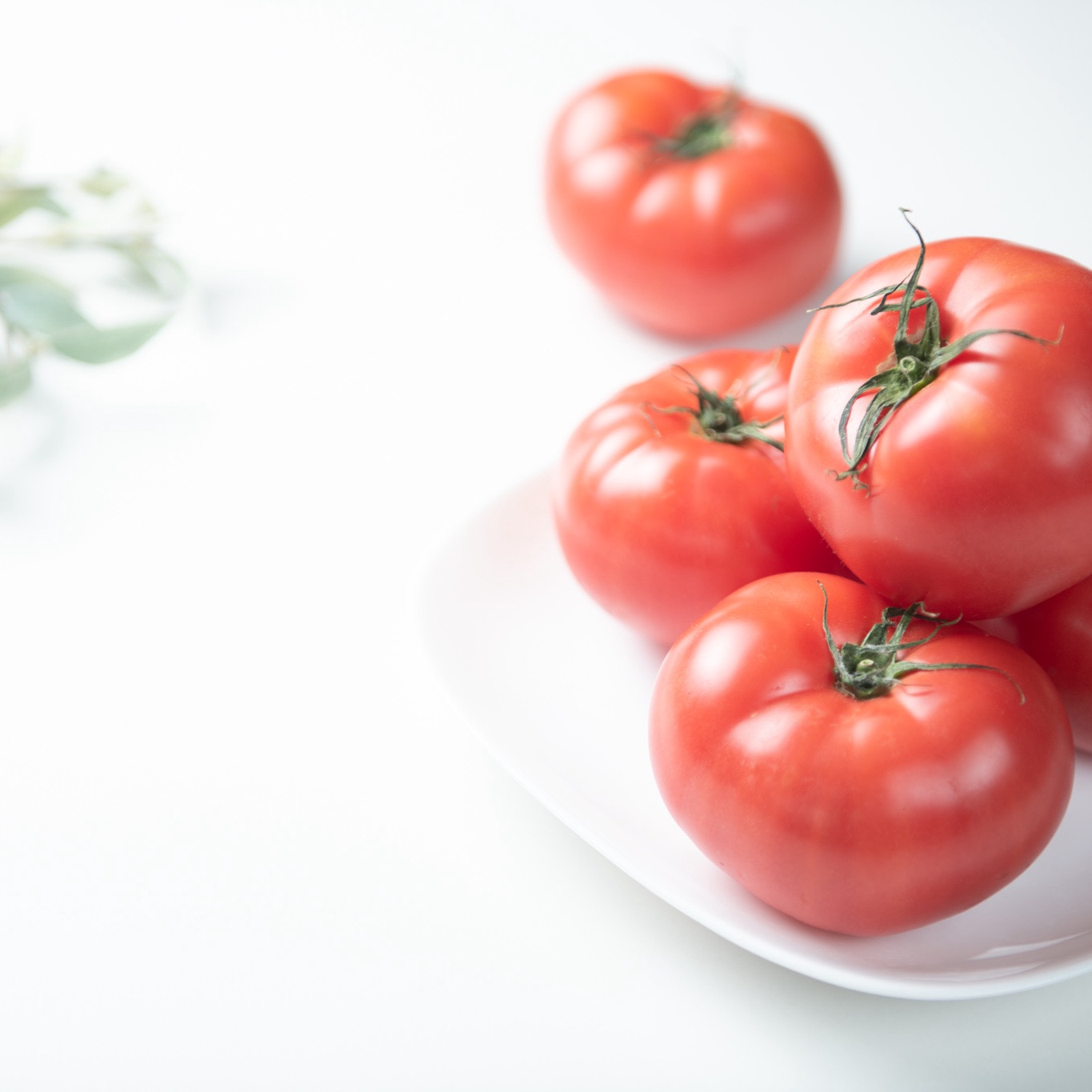 鳥取県産笑心とまと】たっぷり4kg箱特大12玉入り！贈答用にも☆ | 野菜