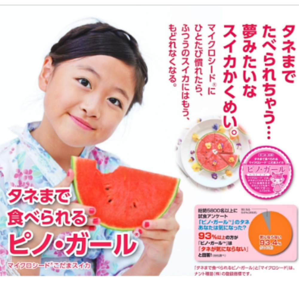 旬祭限定】《予約》尾花沢小玉スイカ甘い ピノガールL2玉 4kg前後