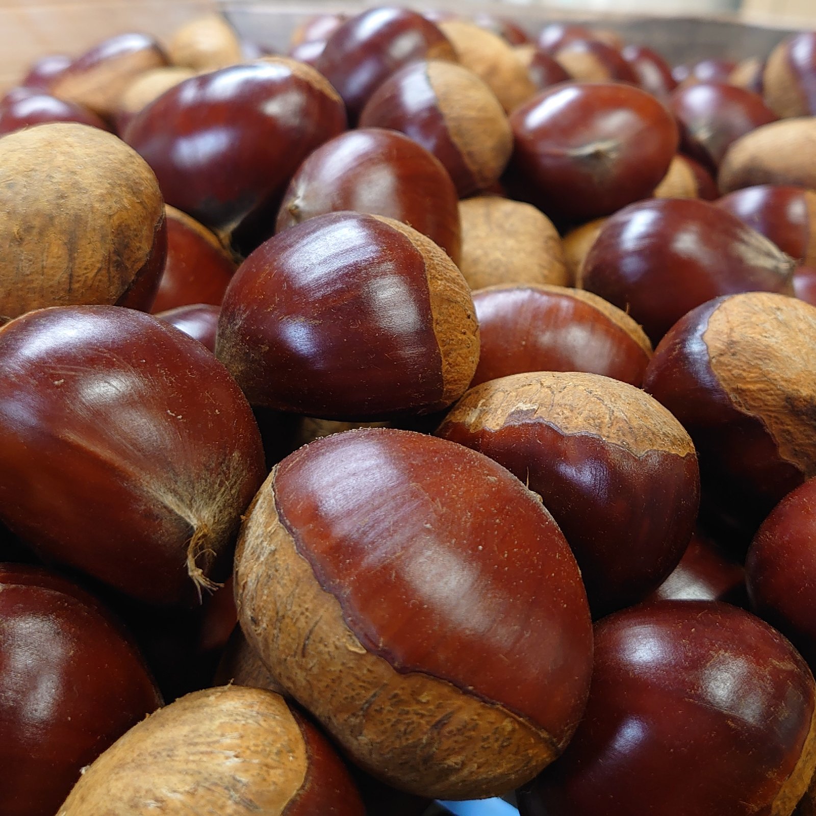 熟成冷凍むき栗1,200g(300g×4) | 果物/栗 産直アウル 農家から直接